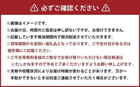 先行予約岡山県産ニューピオーネ 約2kg（3～6房）【2026年8月下旬～10月下旬まで順次発送予定】 葡萄 ぶどう ブドウ フルーツ 果物 冷蔵