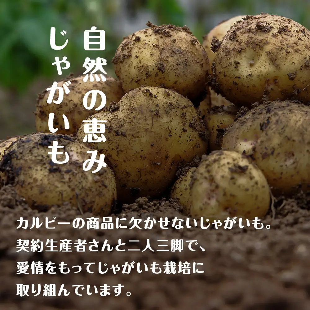 カルビーポテトチップス＜北海道バターしょうゆ味＞16袋入×1箱《千歳工場製造》【北海道限定】