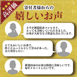 【令和7年産】こしひかり 5kg 精米 5kg x 1袋 白米 新潟県 新発田市 [noguchi003_02]