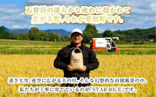 【8回定期便】 ゆめぴりか ・ ななつぼし （2種各2合）×8回 計4.8kg ｜ 最上品質米 ご飯 ごはん 米 お米 おこめ ライス こめ コメ おにぎり リゾット パエリア お弁当 小分けサイズ 真空 長期保存 家庭用 自宅用 産地直送 北海道 愛別町