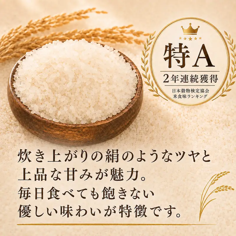 きぬむすめ 精米 白米 静岡県産 きぬむすめ【20kg(5kg×4)】