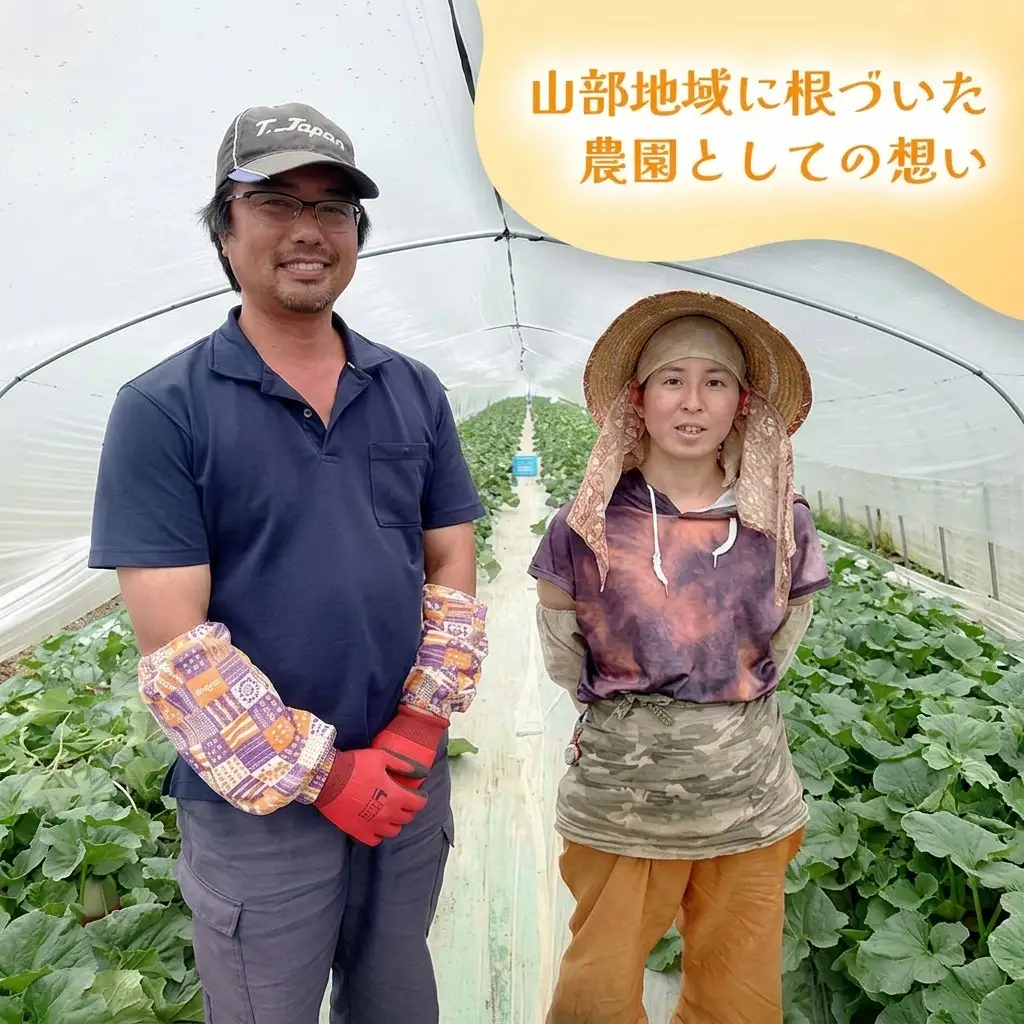 富良野メロン 赤肉 特秀品 糖度15度以上【1玉2kg×2箱 計4kg】【定期便2回】