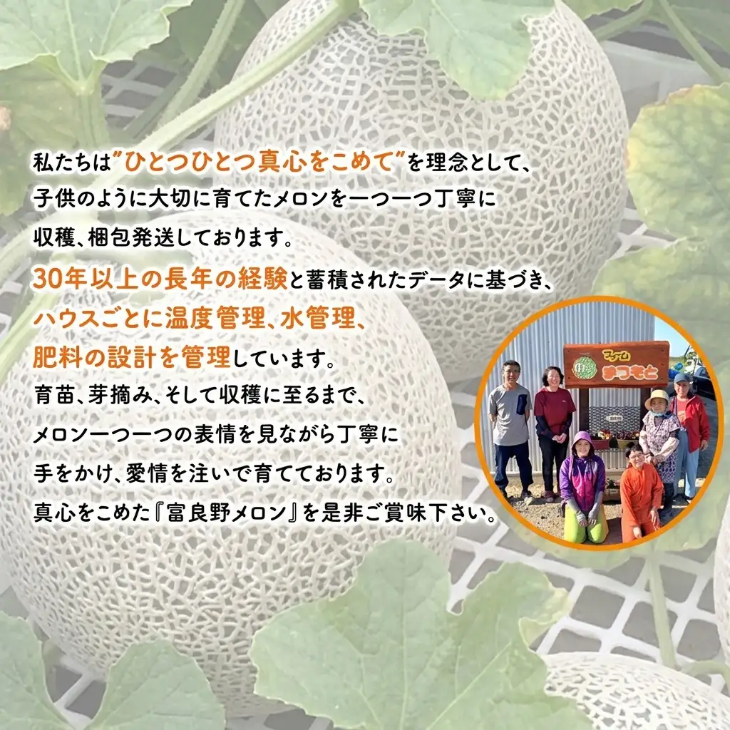富良野メロン 赤肉 糖度15度以上 ファームまつもと メロン【4玉 8kg】