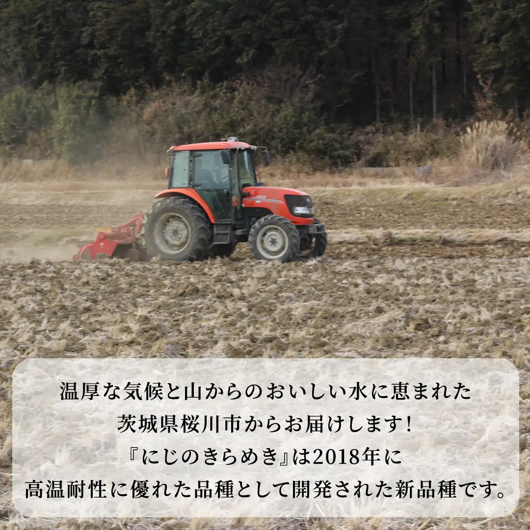 ＼スピード出荷／ にじのきらめき 5kg スピード 最短 7日 すぐ届く すぐ発送 スピード発送 早い 白米 精米 国産 茨城県 お米 米 おこめ おコメ ごはん 銘柄米 [SC069sa-sp]