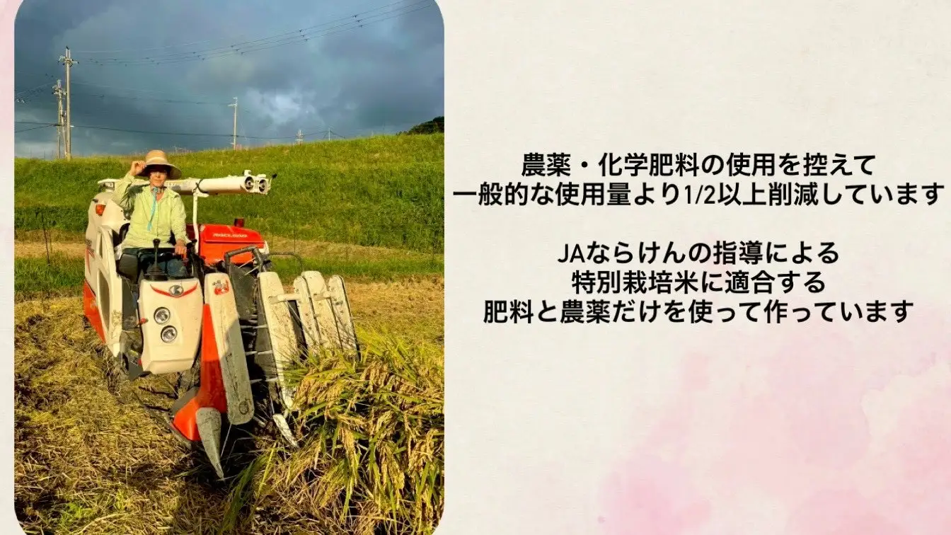JBC-2.【お米の定期便】＜特別栽培米＞桜井市高家産 ヒノヒカリ（玄米）5kg×6回（隔月）