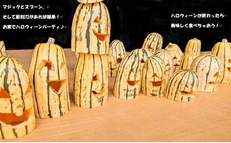 かぼちゃ オーガニック デリカタ 北海道産 かぼちゃ【約5kg】