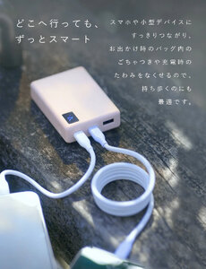 CIO スパイラルケーブル CtoC 2m (ライトブラック)｜Type-C 充電 [2547]