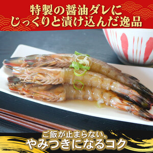愛知県産 天然 車海老 南知多カンジャンセウ 150g(4～5匹)×3袋 海老の醤油漬け 海老 えび エビ