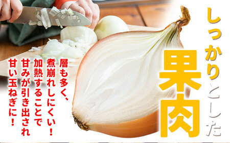 北海道名寄産 玉ねぎ 10kg 秀品 たまねぎ　Mサイズ