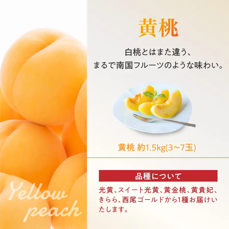 《先行受付》白桃と黄桃詰合せ3kg【2026年8月頃より順次発送予定】 060-016