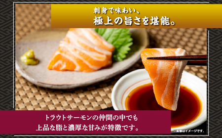 北海桜サーモン 半身 2枚 2~2.5kg 新鮮 刺身 冷蔵 陸上養殖 生食可 桜色 トラウト サーモン 鮭 生鮭 サケ さけ 国産 北海道産 道産 松前産 産地直送 お取り寄せ 海鮮 鮮魚 魚介 活〆 グルメ 北海道 松前町 送料無料 MATP002