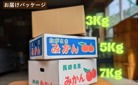 ★受付期間限定★【樹上完熟】 長崎みかん （普通温州） 約5kg 温州蜜柑 温州みかん 蜜柑 みかん ミカン 果物 果実 フルーツ 完熟 長崎県 長崎市 常温 【2026年12月下旬-2027年1月下旬発送予定】