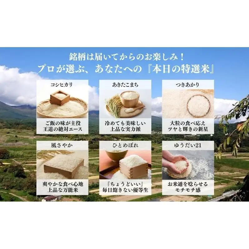 お米マイスターおすすめ小諸米 精米5kg 3ヶ月定期便