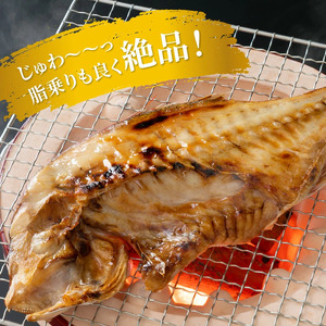 驚愕の大きさ！訳あり天然鯛の一夜干し1.8kg _1554R