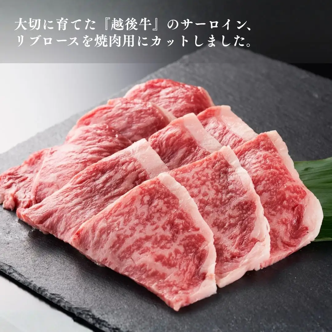 越後牛 ロース焼肉 800g(200グラム×4) 冷凍 三国 | 越後牛 小千谷 新潟県産 ロース 焼肉