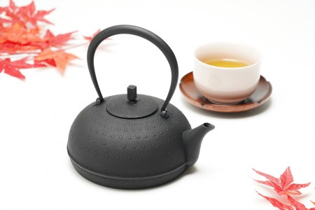 南部鉄器 鉄瓶 Sayu (サユ) 小 0.5L IH調理器 伝統工芸品 やかん ケトル キッチン用品 食器 日用品 雑貨[Y0060]