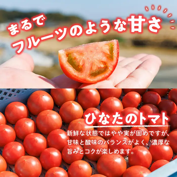 ＜先行予約受付中！2027年1～5月の間に発送予定＞門川ひなたのトマト(800g×2箱) 高糖度 トマト フルーツトマト 野菜 旬野菜 冷蔵 門川町産 宮崎県 門川町 【TM-02】【宮崎県農業協同組合日向地区本部(門川選果場)】