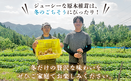 ＜冬季限定 原木生しいたけ 訳あり 約1kg＞ 20個前後 原木生椎茸 しいたけ シイタケ きのこ 家庭用 バーベキュー BBQ すき焼き しゃぶしゃぶ 料理 国産 愛媛県産 横林自治振興協議会 愛媛県 西予市【冷蔵】『11月中旬～3月上旬に順次出荷予定』NYJ0009