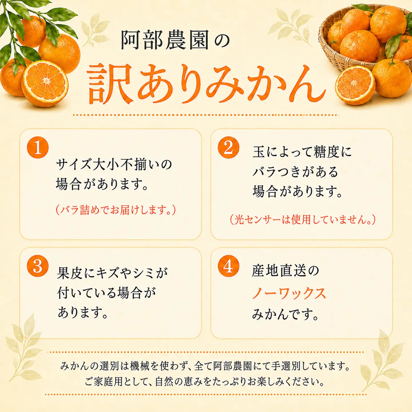 【2027年先行予約】 青島みかん 約8kg 訳あり品 阿部農園 温州みかん 1月発送 ＜112-003＞