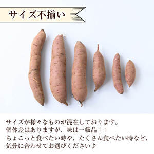 K-651-B しっとり紅はるかの冷凍焼き芋2kg(ハーフカット)【泉真一朗】霧島市 やきいも さつまいも サツマイモ 芋 さつま芋 熟成