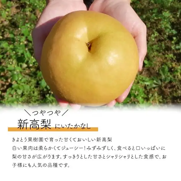 新高梨 ご家庭用 3-6玉 (岡山県産) 【KF-C020-01】