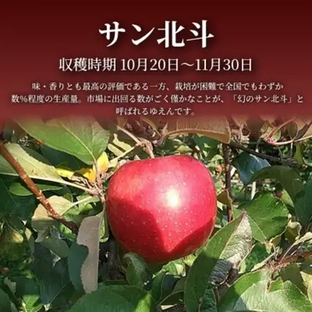 【青森直送 季節の味覚をお届け!】サン北斗(幻のサン北斗)5kg×1箱(訳あり)青森産 産地直送【配送不可地域：離島】【1700964】