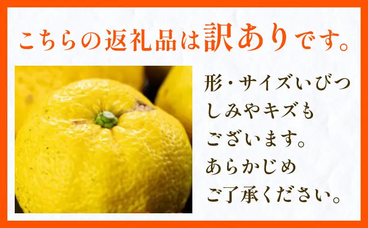 ゆず 訳あり 柚子 約5kg ゆず
