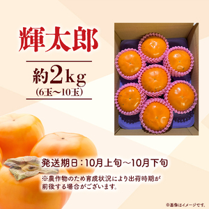 【期間限定】令和8年産 輝太郎 2kg 6玉～10玉（柿） フルーツ 先行予約 柿 倉吉産 ブランド柿 果物 数量限定