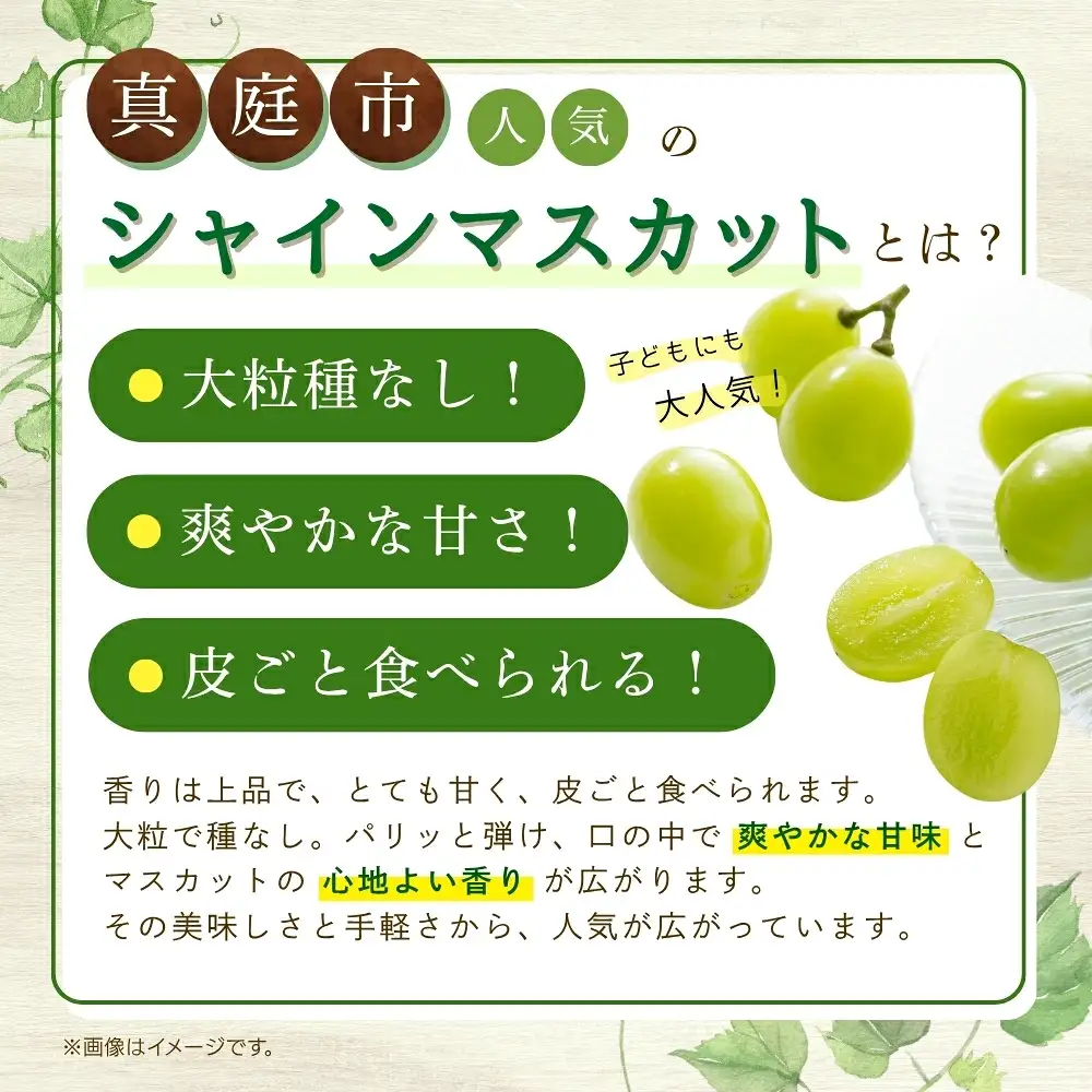 【2026年先行予約】花笑み農園の『シャインマスカット』700g以上（大１房）岡山 ぶどう シャインマスカット 真庭市 【hana080-01】