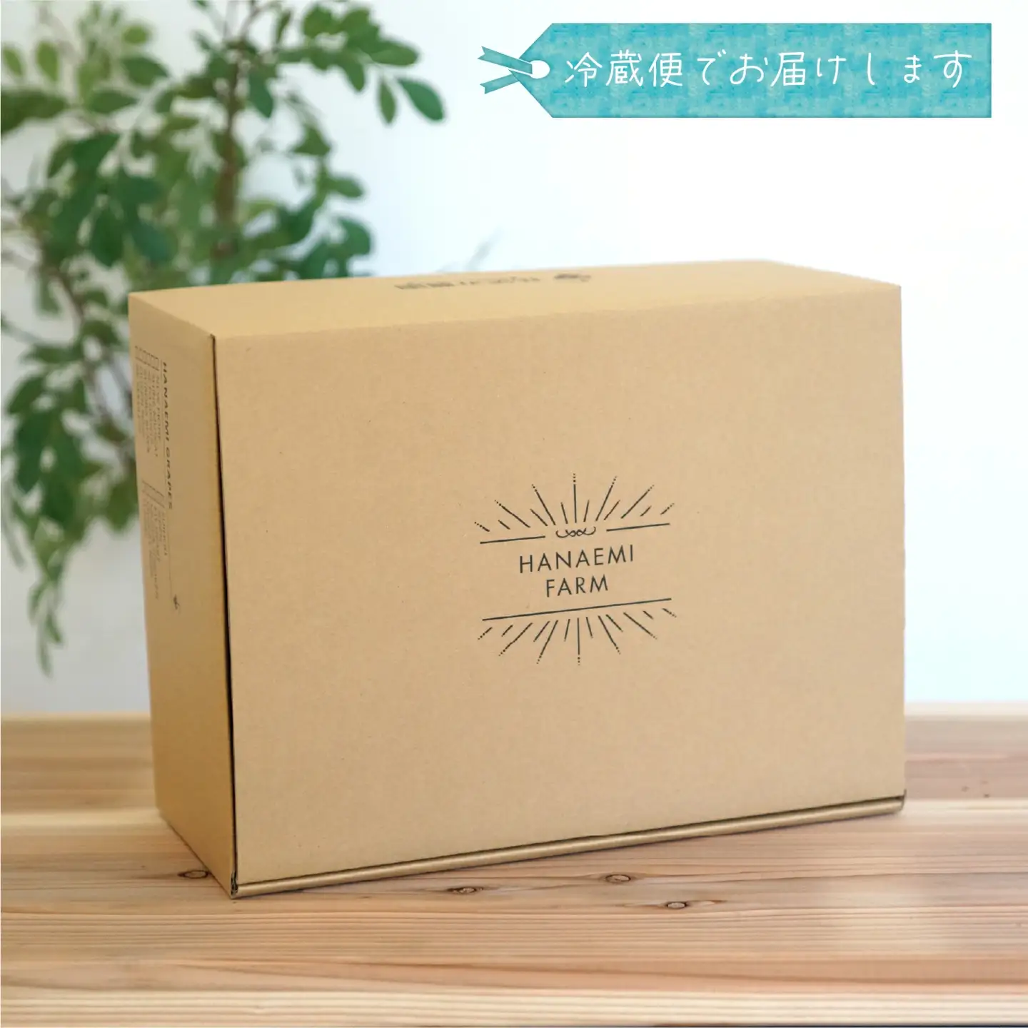 【2026年の先行予約】 花笑み農園 ぶどう 『彩り３種セット』家庭用（1.8kg） 岡山 詰め合わせ 食べ比べ 真庭市 【hana085-01】