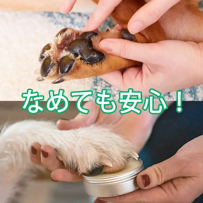 えぞ鹿バター ハナ＆パッドケアー【25g×3缶】_I020-0793