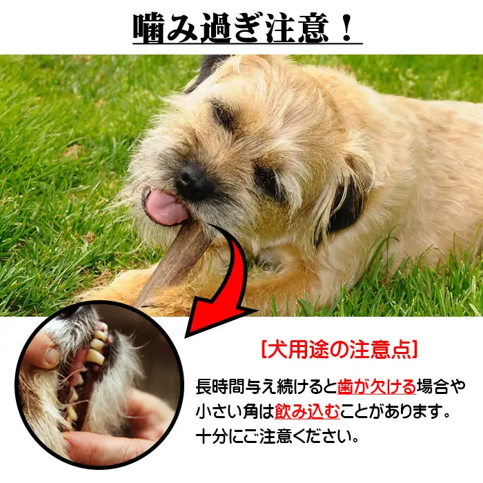 えぞ鹿カット角【約10cm×3本】※トリーツ_I020-0434