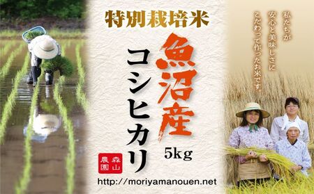 令和8年産 【新潟県認証】森山農園特別栽培米魚沼産コシヒカリ（精米）10kg（5kg×2）
