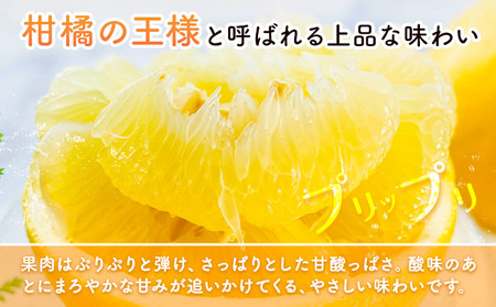 晩白柚 2玉 Lサイズ ばんぺいゆ 熊本《12月上旬-1月末頃出荷》熊本県 氷川町 果物 フルーツ 熊本県産 晩白柚 ばんぺいゆ