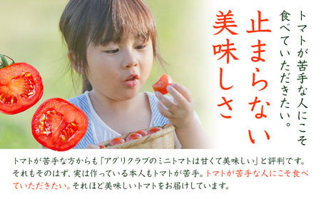 【先行予約】トマト 3kg 熊本 氷川アグリクラブ | ミニトマト