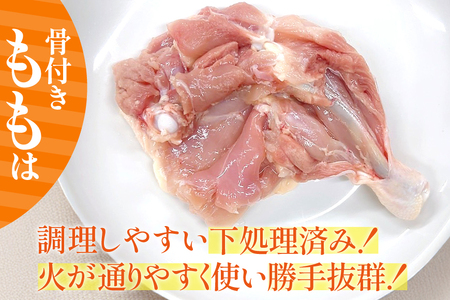 鶏肉 業務用 宮崎県産 若鶏 骨付きもも 250g 10本 セット
