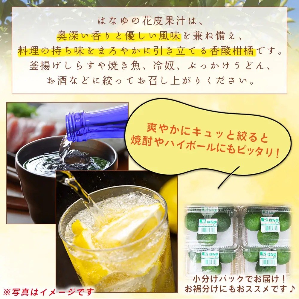 【先行受付】柚子 花柚子 青玉 ８パック hy-0001