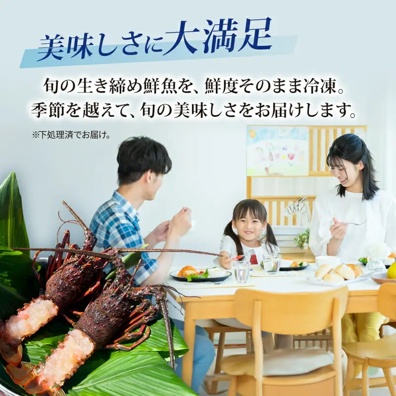 【 鮮魚 】 鮮魚 セット 3種～5種