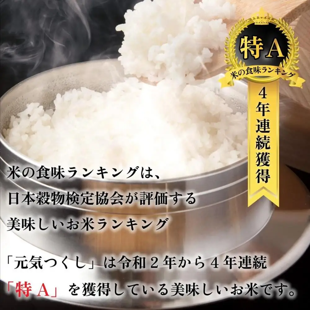 令和7年産 福岡県産米 元気つくし 合計20kg ( 5kg×4袋 )