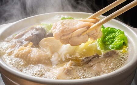 AB512.訳あり！博多水炊きセット10人前（2人前×5セット）【水炊き】