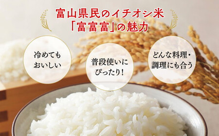 【令和7年度産米】【農家直送】環境配慮「魚津の富富富（晃米）」白米10kg ※北海道・沖縄・離島への配送不可