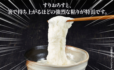 ＜自然薯 約1kg＞ 野菜 やさい 山芋 長芋 いも とろろ じねんじょ 国産 愛媛県産 とろろご飯 とろろ汁 料理 ノムランド 愛媛県 西予市【常温】『2026年1月中旬～3月末迄に順次出荷予定』NNM0008