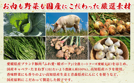 ＜愛媛のおいしい餃子セット 2種セット 合計100個(各種25個×2袋)＞ぎょうざ ギョーザ 餃子 国産 もっちり餃子 サクッとジューシー餃子 もっちり パリッ ジューシー 丸餃子 国産野菜 ブランド豚 鍋 浅野食品 愛媛県 西予市【冷凍】『1か月以内に順次出荷予定』OAH0004