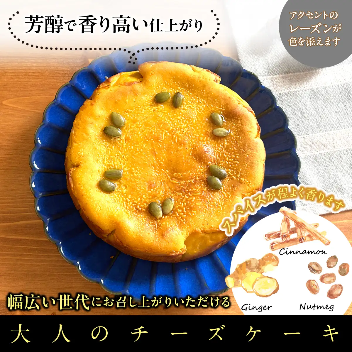 パンプキンチーズケーキ DSX009