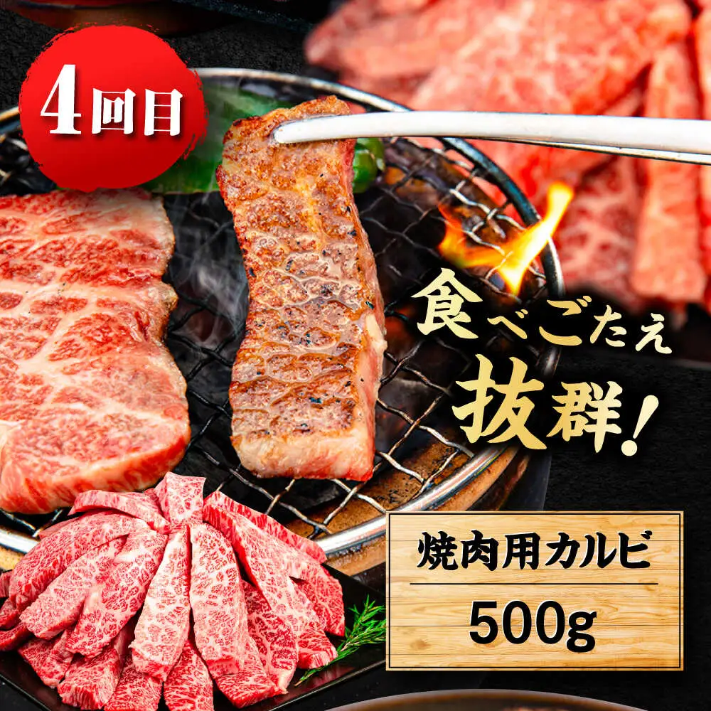 【全6回定期便】 博多和牛が 毎月2人前 届く！ 月替わり お楽しみ 定期便 （ハンバーグ / 肩ロース スライス / サーロイン ステーキ / カルビ / モモブロック / ヒレ ステーキ）  糸島市 / 幸栄物産 牛肉 セット 焼肉 すき焼き[ABH049]