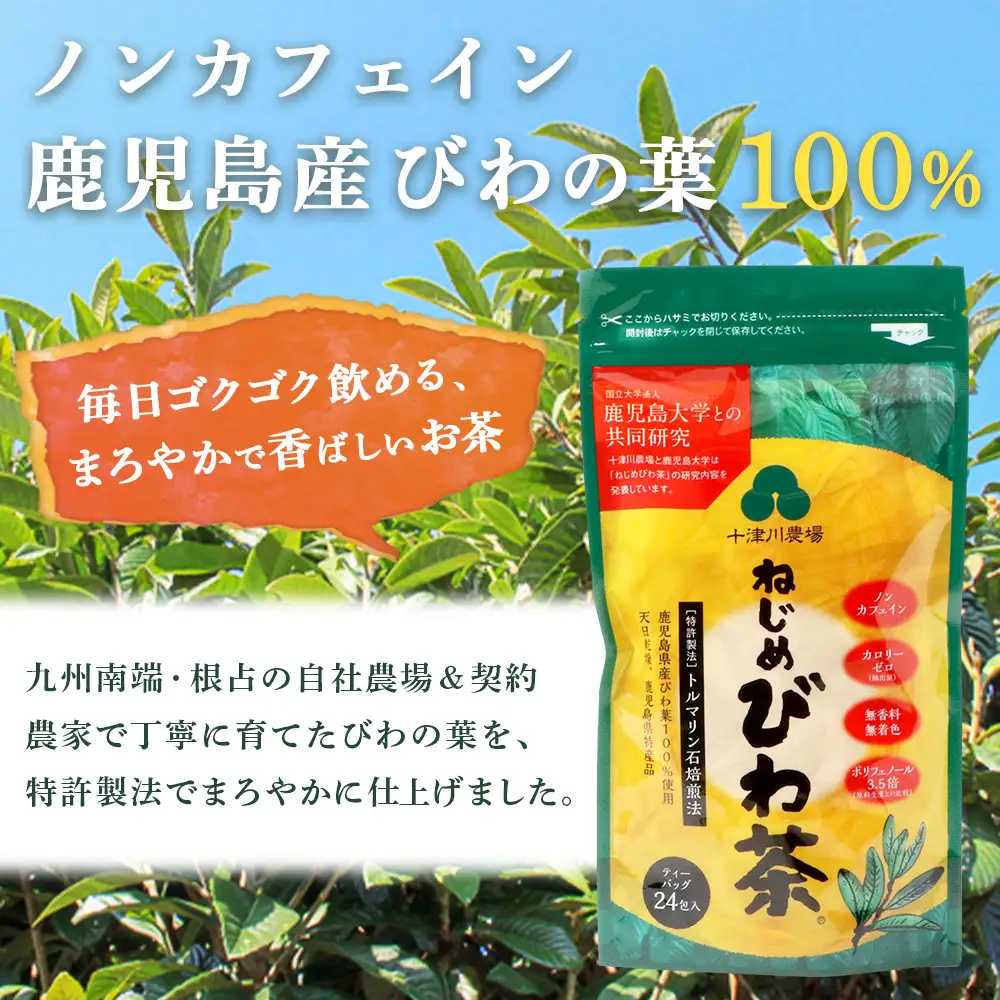 【定期便12回連続・大人気２種セット】鹿児島県産 ねじめびわ茶 ティーバッグ（24包入×2袋）おひとりさま（7包入×2袋） TO-21-NP | 国産 お茶 健康茶 ポリフェノール ノンカフェイン 無香料 無着色 さわやか 甘み 香ばしい おいしい びわの葉 トルマリン石焙煎 産地直送 鹿児島県 南大隅町 十津川農場