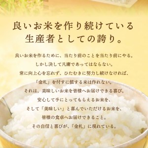 【定期便】江刺金札米ひとめぼれ 無洗パック米 5kg×6ヶ月 計30kg【無洗米】 令和7年産 おこめ ごはん ブランド米 精米 白米 [A0038]