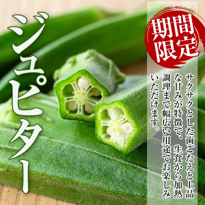 いずみ産 オクラ 新たな品種・ジュピター 1.2kg 【イーサイドライン】 i1216-B