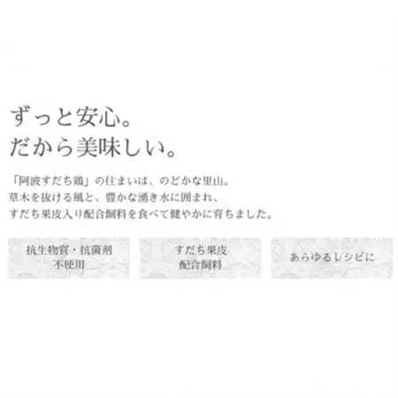 すだチキンバーガー5個入 計850g 徳島県産【配送不可地域：離島】【1676587】