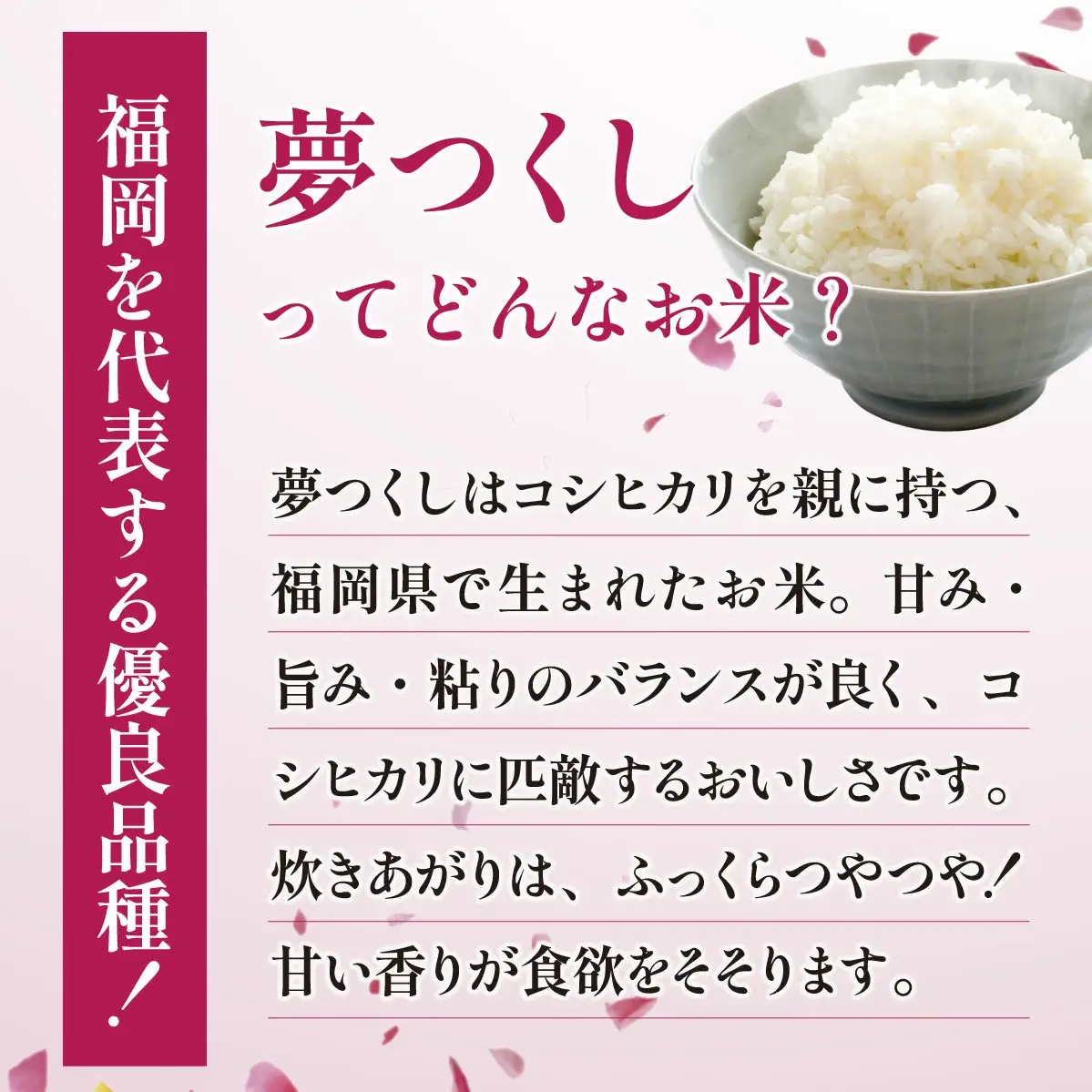 【定期便：３ケ月】令和７年産 福岡県産米 夢つくし 15kg 精米 CY010sub3
